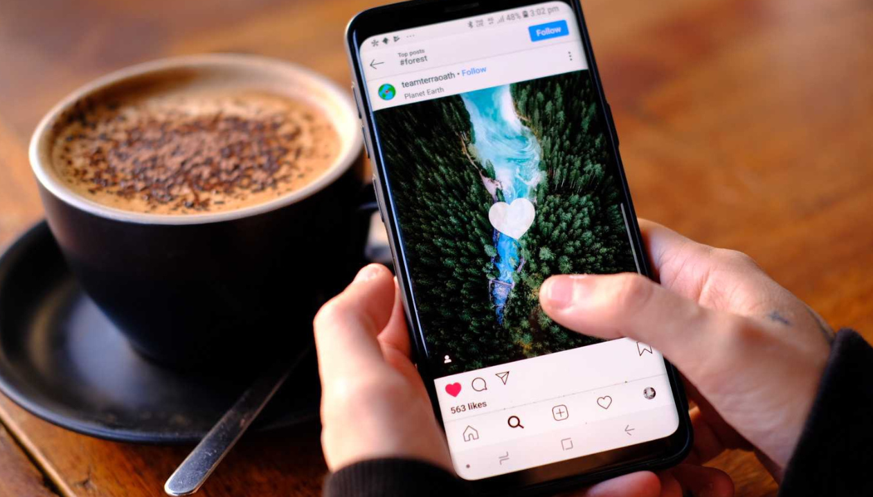 banners site daly (5).png